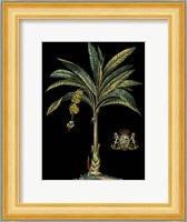 Palm & Crest on Black I Fine Art Print