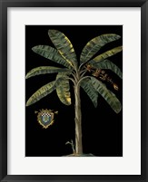 Palm & Crest on Black II Fine Art Print