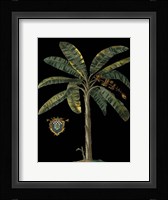 Palm & Crest on Black II Fine Art Print