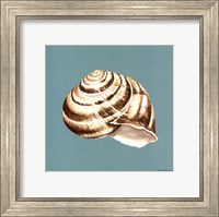 Shell on Aqua I Fine Art Print