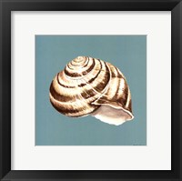 Shell on Aqua I Fine Art Print