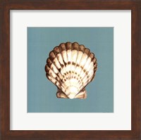 Shell on Aqua III Fine Art Print