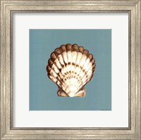 Shell on Aqua III Fine Art Print