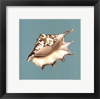 Shell on Aqua IV Fine Art Print