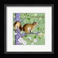 Into the Woods Framed Print