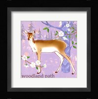 Into the Woods IV Framed Print