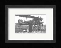 Albatos D.III Fine Art Print