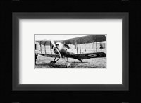 Gloster Nightjar Fine Art Print
