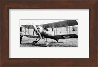 Gloster Nightjar Fine Art Print