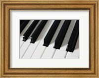 Piano Keys Fine Art Print