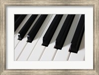 Piano Keys Fine Art Print