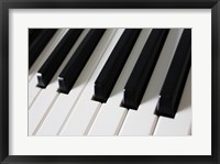 Piano Keys Fine Art Print