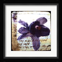 Blooming Purple II Framed Print