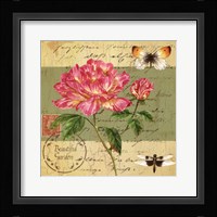 Beautiful Garden II Fine Art Print