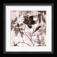 Wallflower V Framed Print