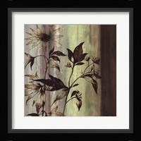 Painted Botanicals I Framed Print