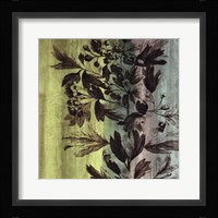 Painted Botanical III Framed Print
