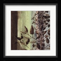 Painted Botanical IV Framed Print