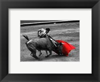 Red Matador III Fine Art Print