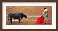 Bull and Matador Stand Off Fine Art Print