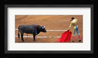 Bull and Matador Stand Off Framed Print