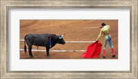 Bull and Matador Stand Off Fine Art Print