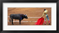 Bull and Matador Stand Off Fine Art Print