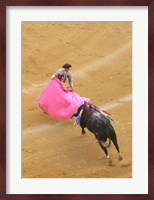Matador Bullfight Fine Art Print