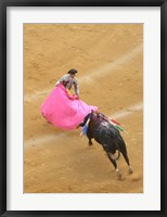 Matador Bullfight Fine Art Print