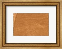 Nazca Lines Design Fine Art Print