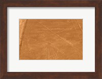 Nazca Lines Design Fine Art Print