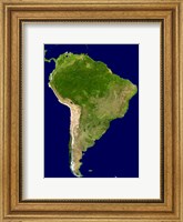 South America - Blue Marble Orthographic Fine Art Print