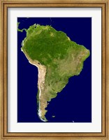 South America - Blue Marble Orthographic Fine Art Print