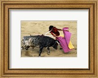 High angle view of a matador fighting with a bull, Spain Fine Art Print