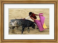 High angle view of a matador fighting with a bull, Spain Fine Art Print