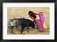 High angle view of a matador fighting with a bull, Spain Fine Art Print