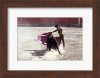 Matador fighting with a bull, Spain Fine Art Print