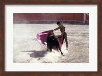 Matador fighting with a bull, Spain Fine Art Print