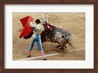 Matador fighting a bull, Plaza de Toros, Ronda, Spain Fine Art Print