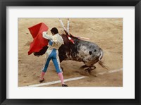 Matador fighting a bull, Plaza de Toros, Ronda, Spain Fine Art Print
