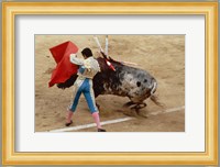 Matador fighting a bull, Plaza de Toros, Ronda, Spain Fine Art Print