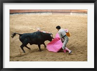 Matador fighting a bull, Plaza de Toros, Ronda, Spain Fine Art Print