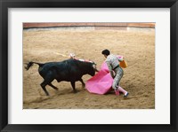 Matador fighting a bull, Plaza de Toros, Ronda, Spain Fine Art Print