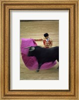 A matador and a bull at a Bullfight, Spain Fine Art Print