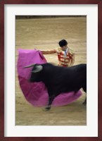 A matador and a bull at a Bullfight, Spain Fine Art Print