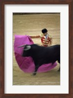 A matador and a bull at a Bullfight, Spain Fine Art Print