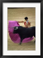 A matador and a bull at a Bullfight, Spain Fine Art Print