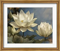 Lotus I Fine Art Print
