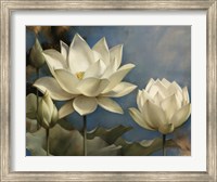 Lotus I Fine Art Print