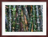 Bamboo Graffiti Fine Art Print
